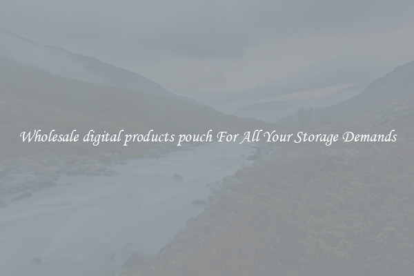 Wholesale digital products pouch For All Your Storage Demands