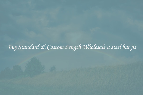 Buy Standard & Custom Length Wholesale u steel bar jis