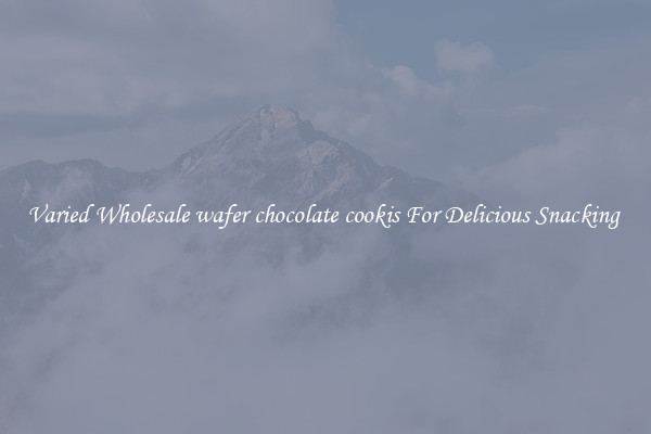 Varied Wholesale wafer chocolate cookis For Delicious Snacking 