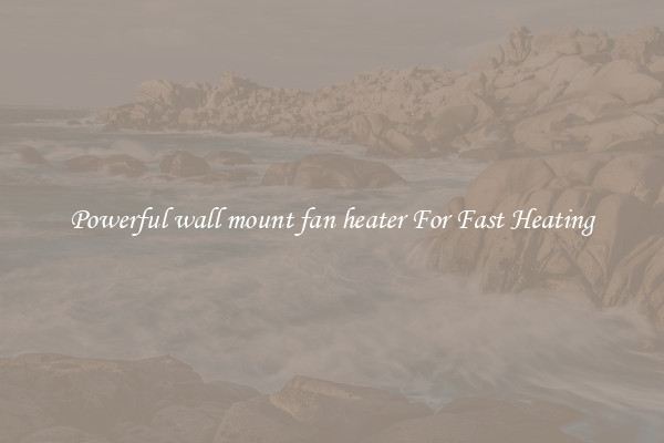 Powerful wall mount fan heater For Fast Heating