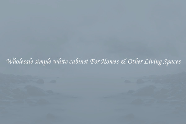 Wholesale simple white cabinet For Homes & Other Living Spaces