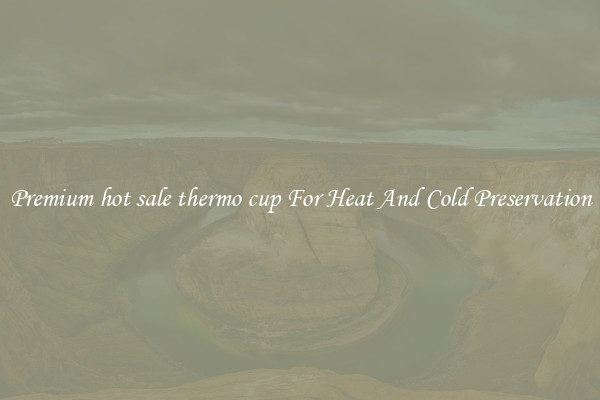 Premium hot sale thermo cup For Heat And Cold Preservation