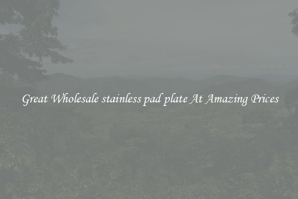Great Wholesale stainless pad plate At Amazing Prices