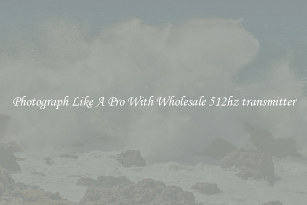 Photograph Like A Pro With Wholesale 512hz transmitter