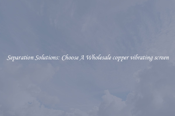 Separation Solutions: Choose A Wholesale copper vibrating screen