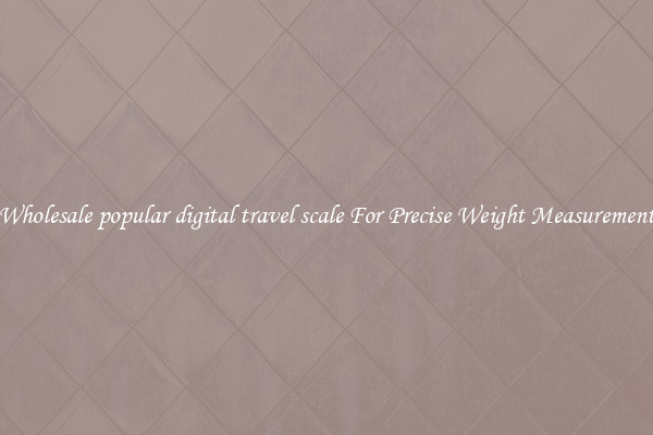 Wholesale popular digital travel scale For Precise Weight Measurement