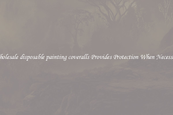 Wholesale disposable painting coveralls Provides Protection When Necessary
