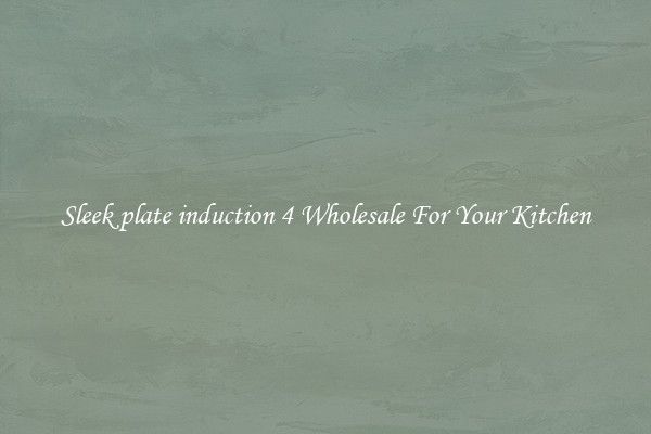 Sleek plate induction 4 Wholesale For Your Kitchen