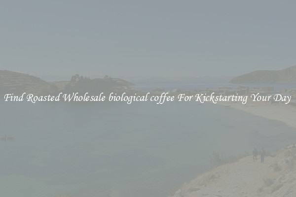 Find Roasted Wholesale biological coffee For Kickstarting Your Day 