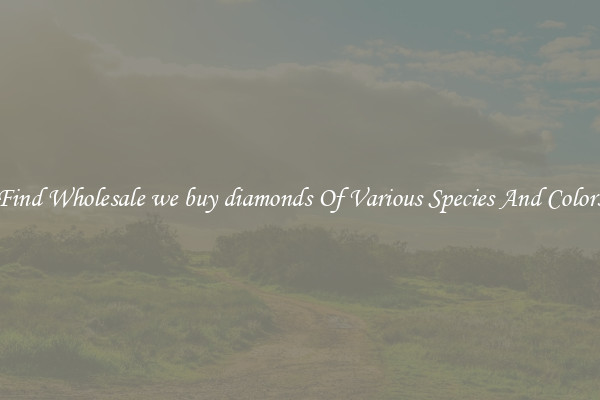 Find Wholesale we buy diamonds Of Various Species And Colors