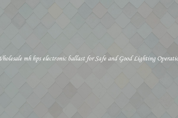 Wholesale mh hps electronic ballast for Safe and Good Lighting Operation