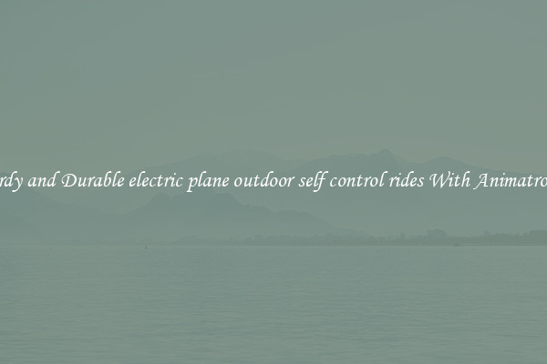 Sturdy and Durable electric plane outdoor self control rides With Animatronics