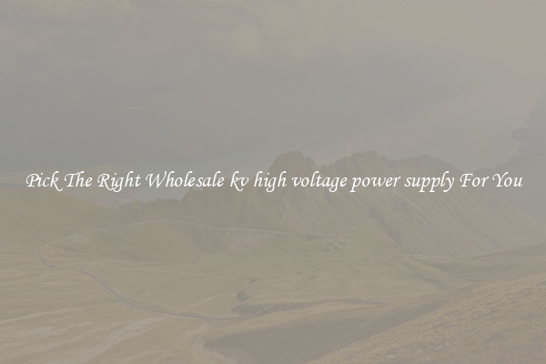 Pick The Right Wholesale kv high voltage power supply For You