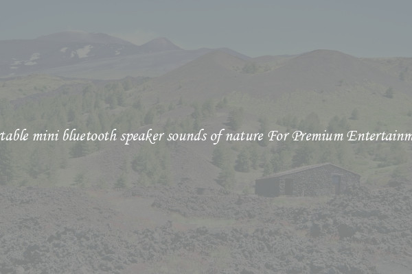 portable mini bluetooth speaker sounds of nature For Premium Entertainment