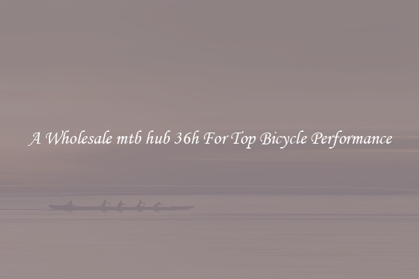 A Wholesale mtb hub 36h For Top Bicycle Performance