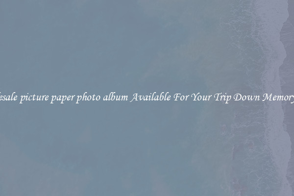 Wholesale picture paper photo album Available For Your Trip Down Memory Lane