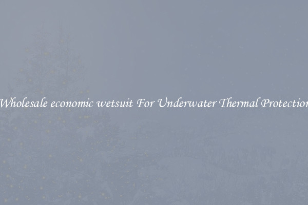 Wholesale economic wetsuit For Underwater Thermal Protection