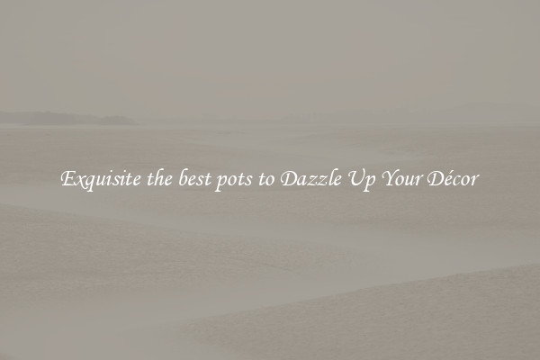 Exquisite the best pots to Dazzle Up Your Décor 
