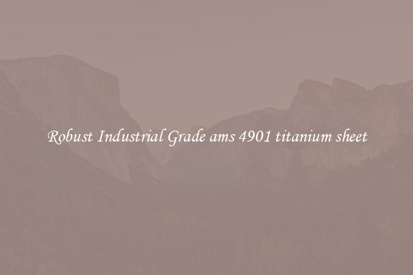 Robust Industrial Grade ams 4901 titanium sheet