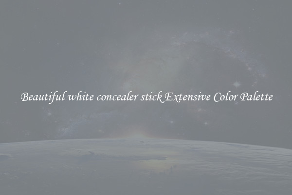 Beautiful white concealer stick Extensive Color Palette