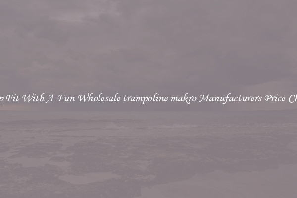 Keep Fit With A Fun Wholesale trampoline makro Manufacturers Price Cheap 