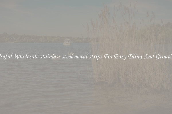 Useful Wholesale stainless steel metal strips For Easy Tiling And Grouting