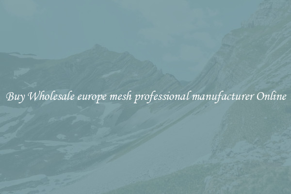 Buy Wholesale europe mesh professional manufacturer Online
