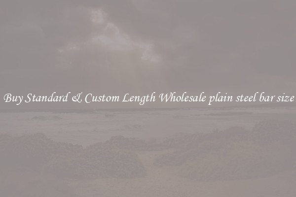 Buy Standard & Custom Length Wholesale plain steel bar size