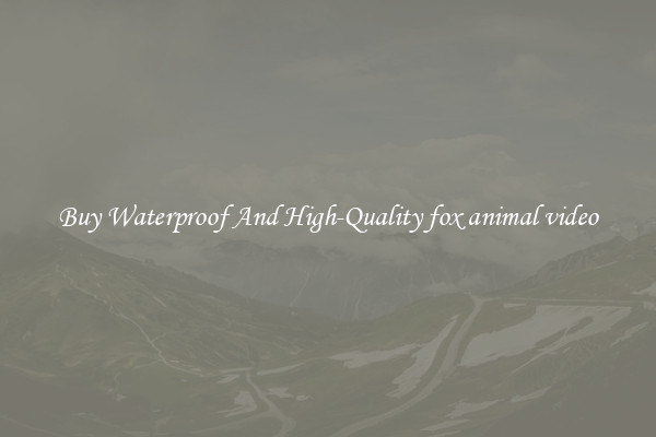 Buy Waterproof And High-Quality fox animal video
