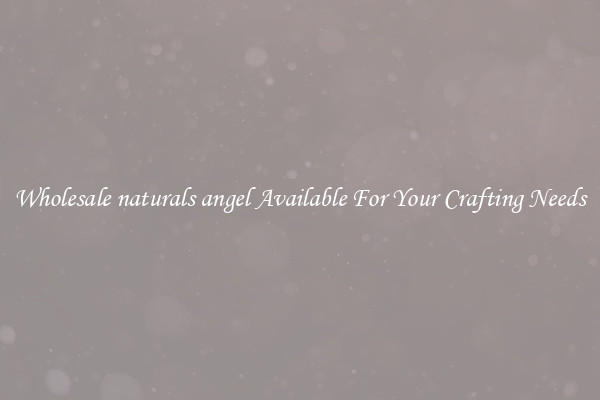 Wholesale naturals angel Available For Your Crafting Needs