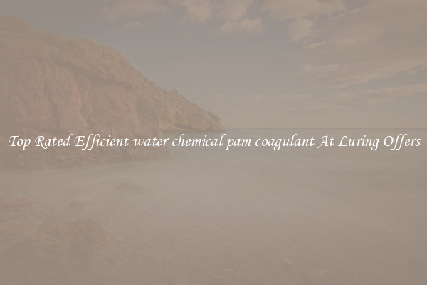 Top Rated Efficient water chemical pam coagulant At Luring Offers