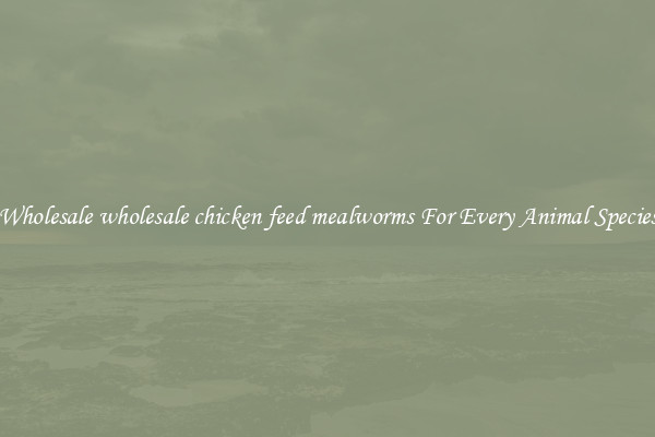 Wholesale wholesale chicken feed mealworms For Every Animal Species