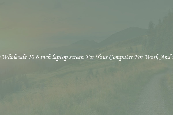 Crisp Wholesale 10 6 inch laptop screen For Your Computer For Work And Home
